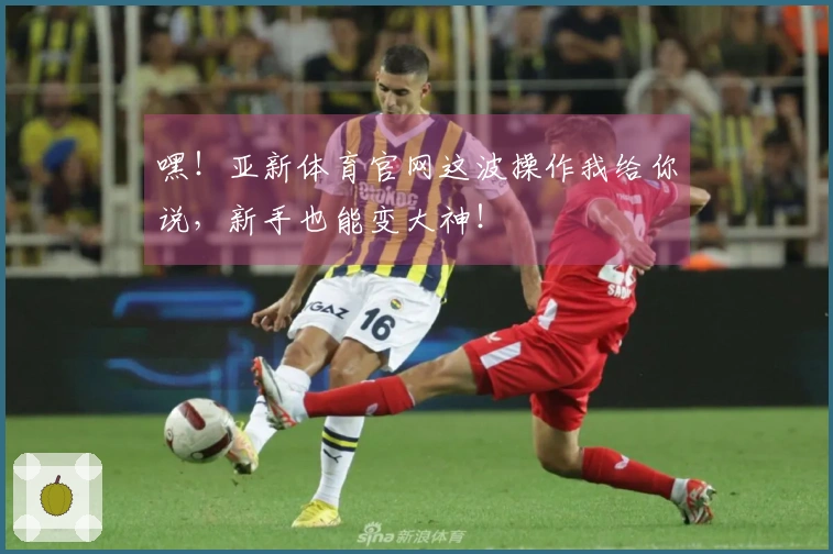 嘿！亚新体育官网这波操作我给你说，新手也能变大神！