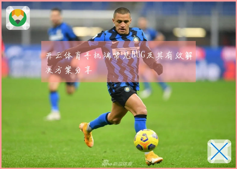开云体育手机端常见BUG及其有效解决方案分享