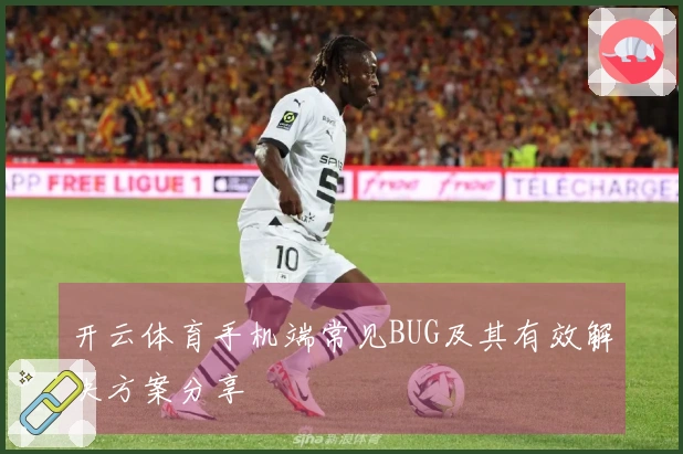开云体育手机端常见BUG及其有效解决方案分享